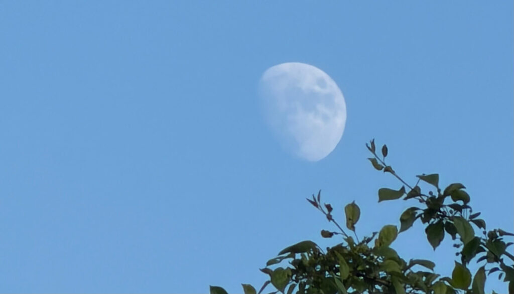 Moon before darkness